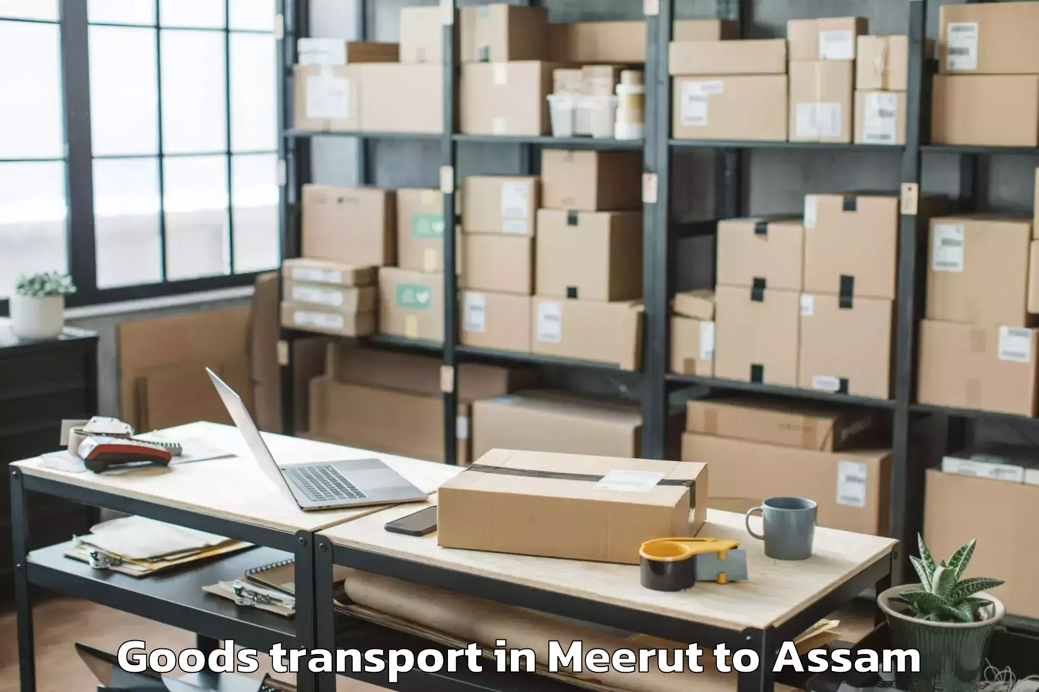 Discover Meerut to Sarupeta Goods Transport